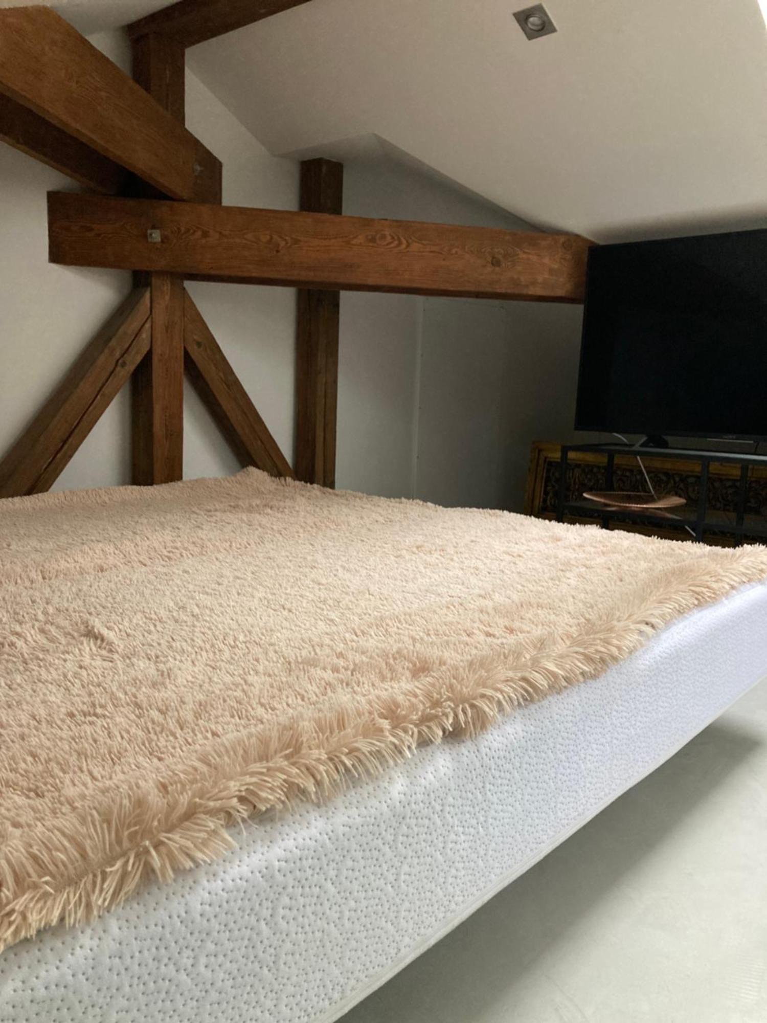 Villa Bricola - Boutique Apartments Karlovy Vary Eksteriør bilde
